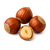 Фундук